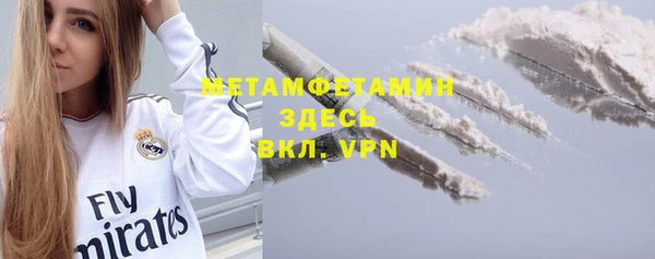 прущие грибы Новодвинск
