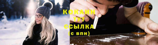 гидра Наволоки
