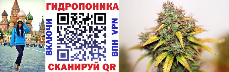 Канабис Ganja Чкаловск